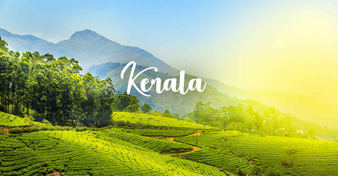 Kerala news